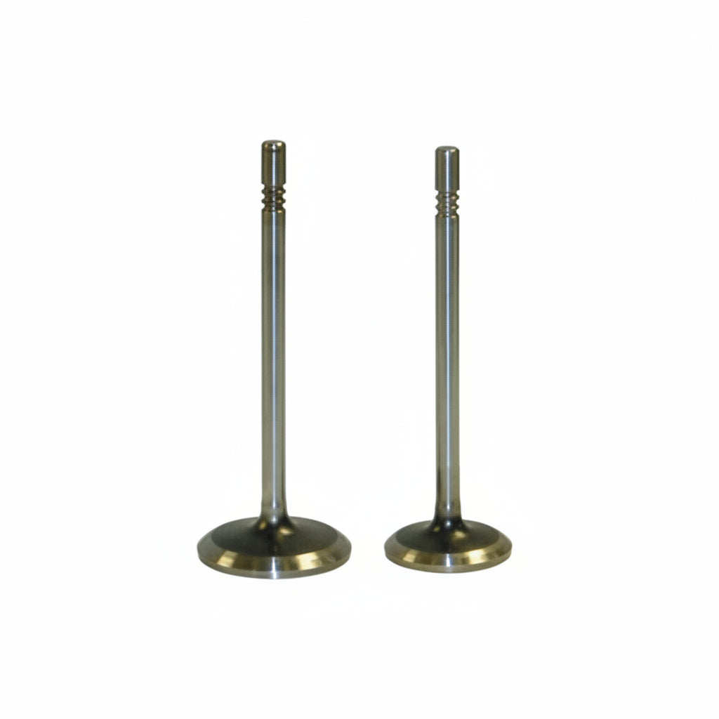 Ferrea Intake & Exhaust Valve Set