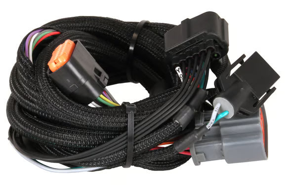 MSD Trans Controller Ford Harness 4R100