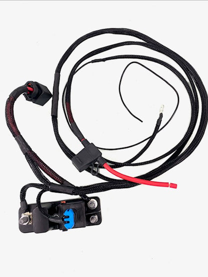 Coyote Swap Pierburg Pump Wiring Kit