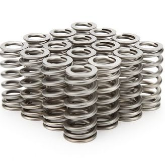 PAC Valve Springs (GT500)