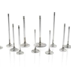 Ferrea Intake & Exhaust Valve Set