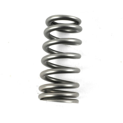 PAC Valve Springs (GT500)