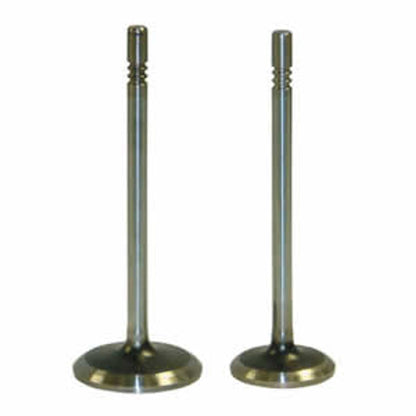 Ferrea Intake & Exhaust Valve Set